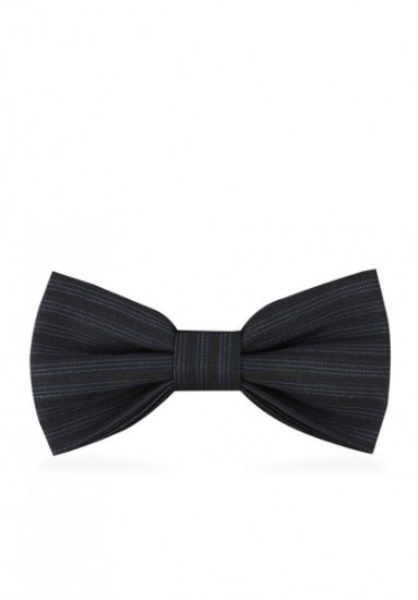 Image de Papillon